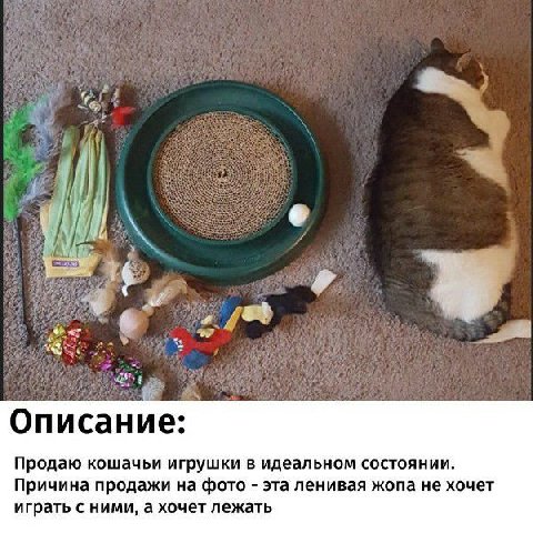 Описание: Продаю кошачьи игрушки в идеальном состоянии. Причина продажи на фото эта ленивая жопа не хочет играть с ними, а хочет лежать