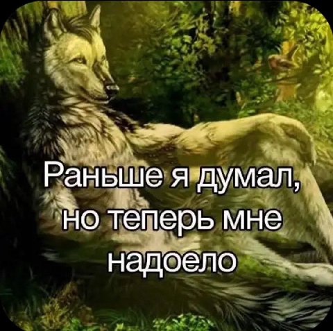 Раньше я думал, но теперь мне надоело