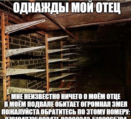 ОДНАЖДЫ МОИ ОТЕЦ 4 МНЕ НЕИЗВЕСТНО НИЧЕГО 0 MOEM OTHE В МОЕМ ПОДВАЛЕ ОБИТАЕТ ОГРОМНАЯ ЗМЕЯ ПОЖАЛУИСТА ОБРАТИТЕСЬ ПО ЭТОМУ НОМЕРУ: