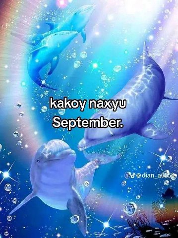 if at какоу пах September. @dian