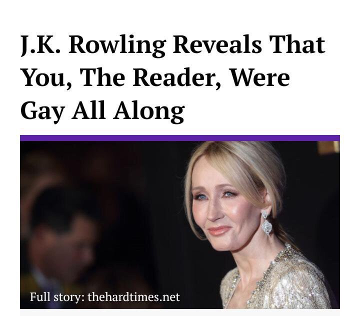 Rowling Reveals That You, The Reader, Were Gay All Along Full story: thehardtimes.net