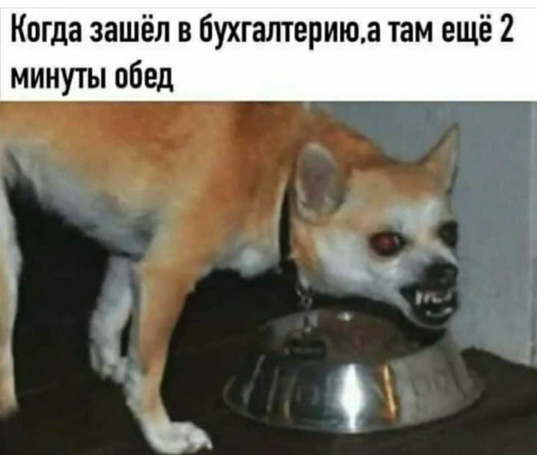 Когда зашёл в бухгалтерию, а там ещё 2 минуты обед