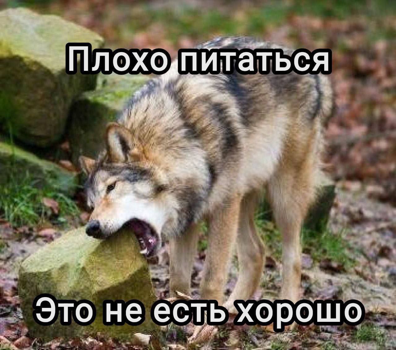 питаться Это не есть