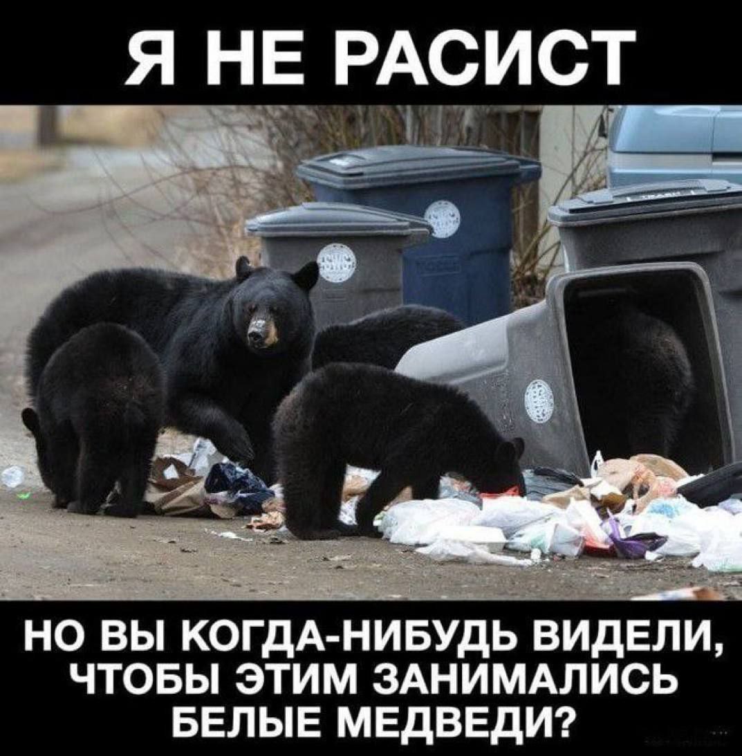 Я НЕ РАСИСТ А НО ВЫ КОГДА-НИБУДЬ ВИД ЕЛИ, ЧТОБЫ ЭТИМ ЗАНИМАЛИСЬ БЕЛЫЕ МЕДВЕДИ?