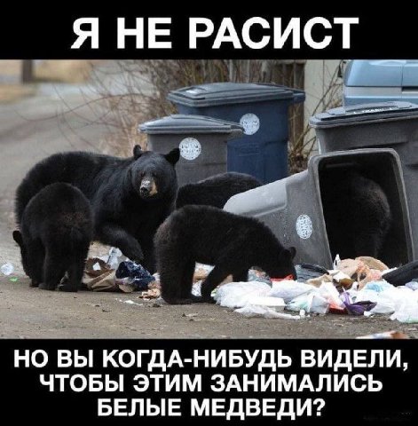 Я НЕ РАСИСТ А НО ВЫ КОГДА-НИБУДЬ ВИД ЕЛИ, ЧТОБЫ ЭТИМ ЗАНИМАЛИСЬ БЕЛЫЕ МЕДВЕДИ?