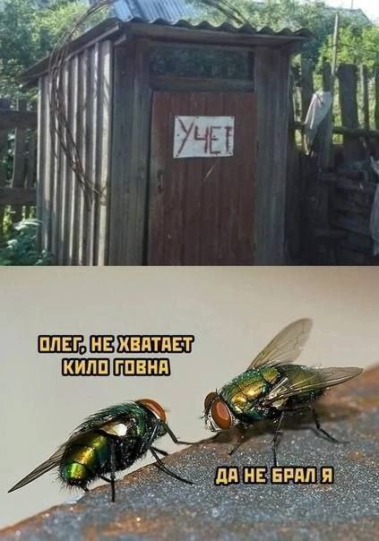 A 3 aN