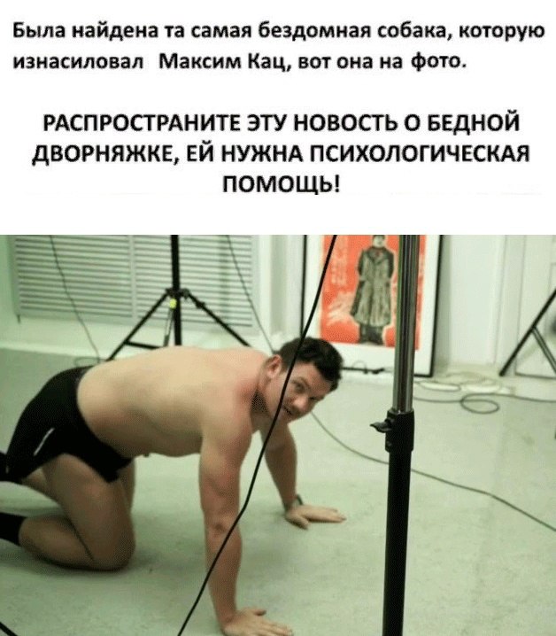 Была найдена самая бездомная собака, которую изнасиловал Максим Кац, вот она на фото. РАСПРОСТРАНИТЕ ЭТУ НОВОСТЬ О БЕДНОЙ ДВОРНЯЖКЕ, НУЖНА ПСИХОЛОГИЧЕСКАЯ ПОМОЩЬ! 4 16