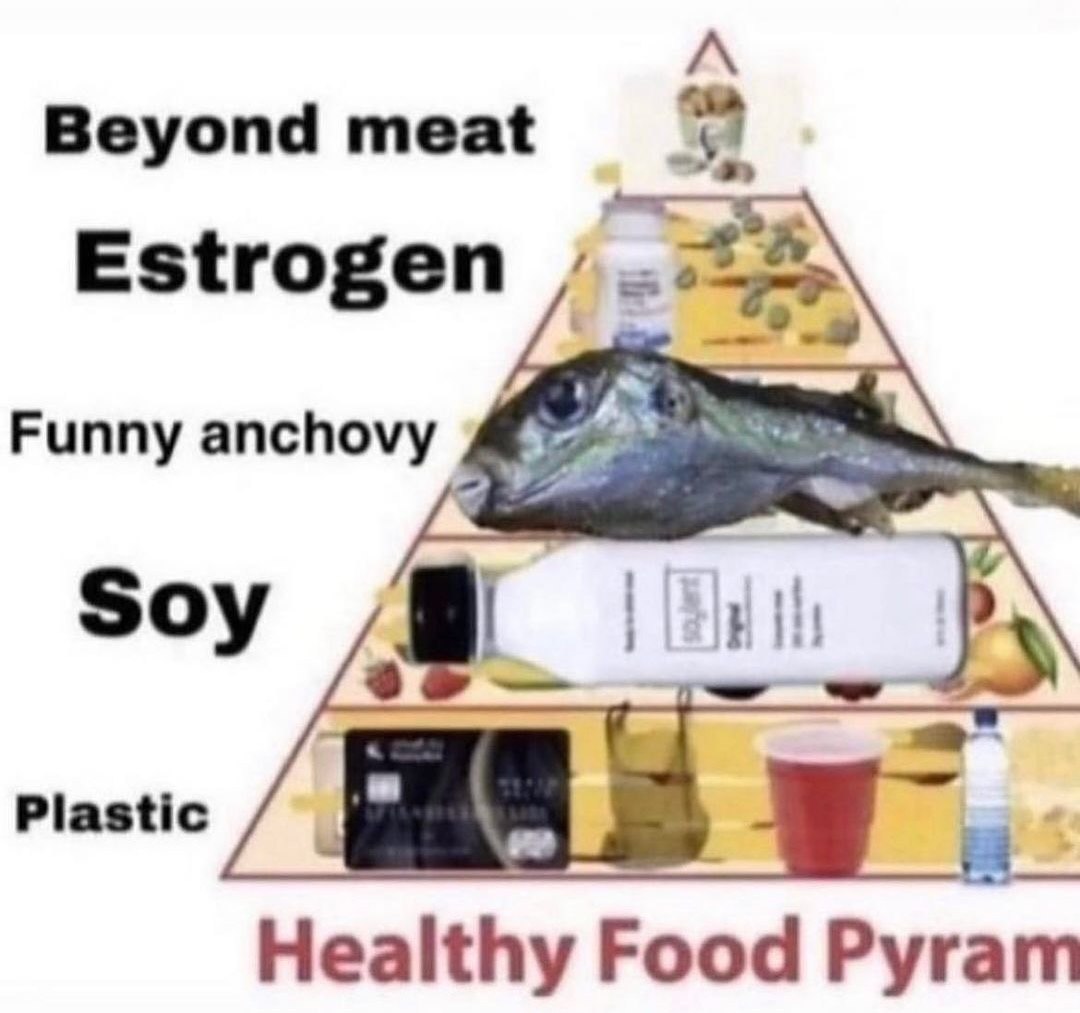 Beyond meat Estrogen Funny anchovy Soy Plastic Healthy Food