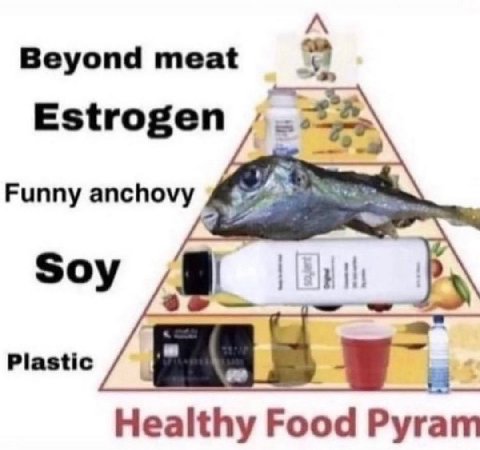 Beyond meat Estrogen Funny anchovy Soy Plastic Healthy Food