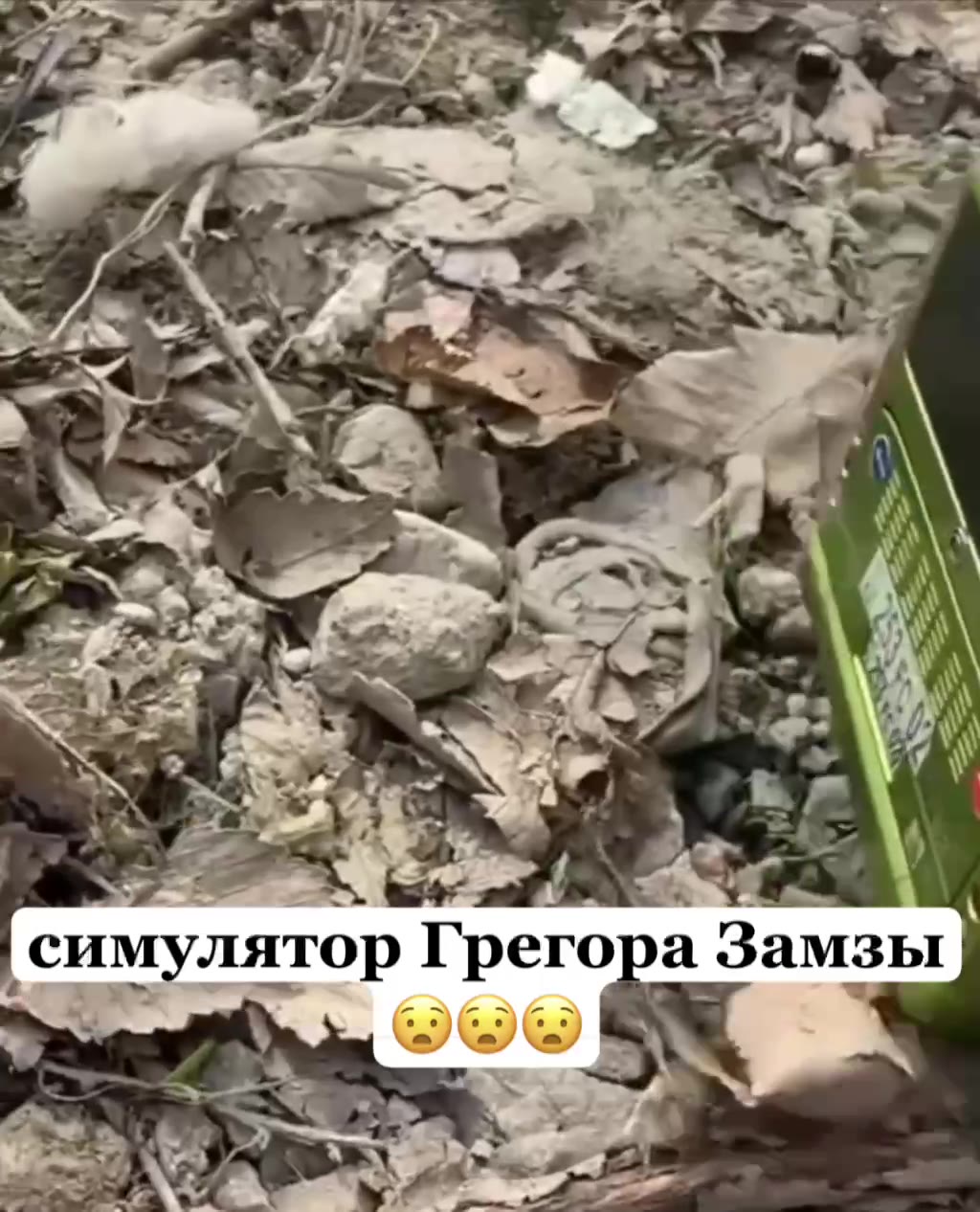 : симулятор Грегора Замзы