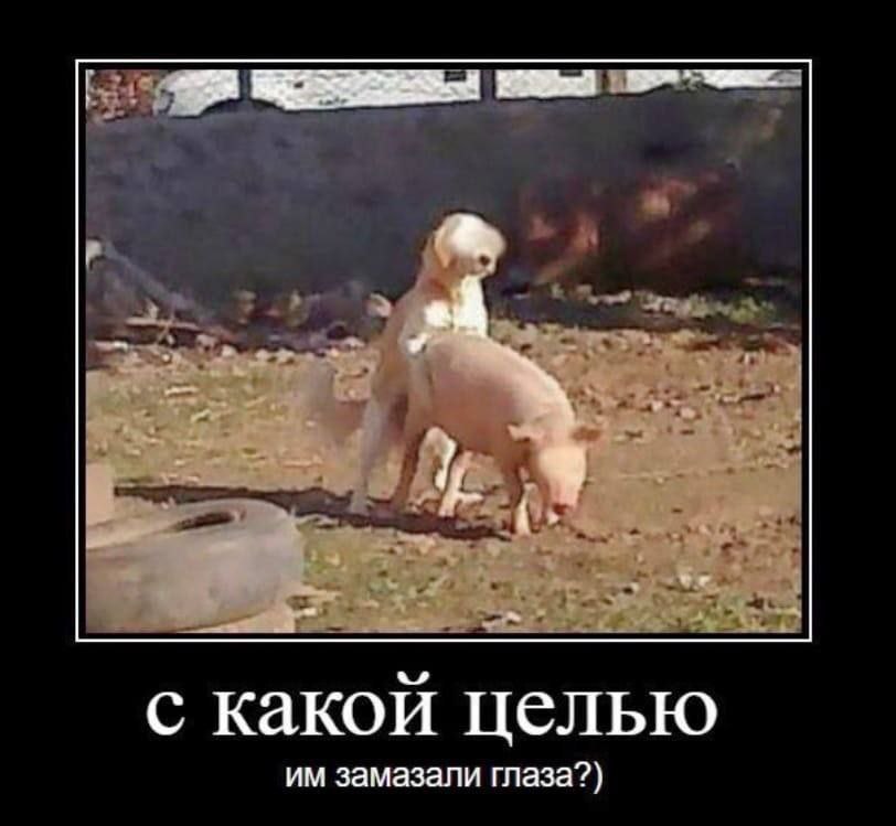 с какой целью замазали глаза?)
