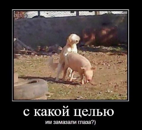 с какой целью замазали глаза?)