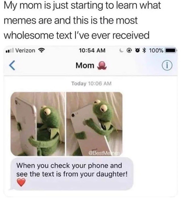 mom is just starting to learn what memes are and this is the most wholesome text I've ever received ati) Verizon 10:54 100% Мот 9% Today 10:06 у When you check your phone and the text is from your dau
