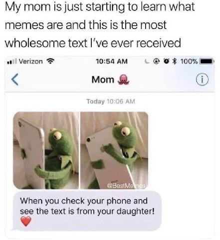mom is just starting to learn what memes are and this is the most wholesome text I've ever received ati) Verizon 10:54 100% Мот 9% Today 10:06 у When you check your phone and the text is from your dau