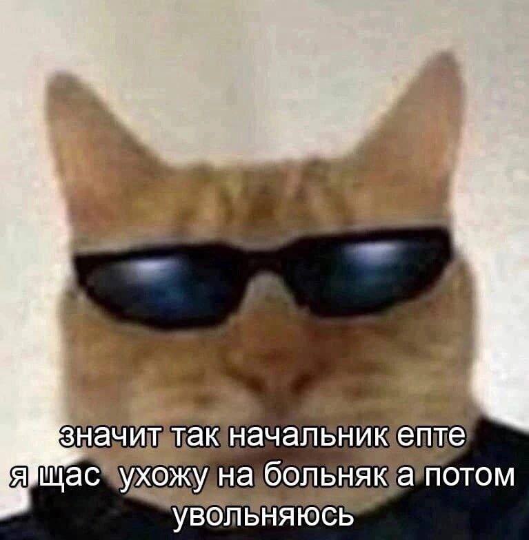 значит так начальник епте ухожу на больняк а потом увольняюсь
