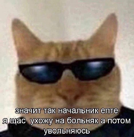 значит так начальник епте ухожу на больняк а потом увольняюсь