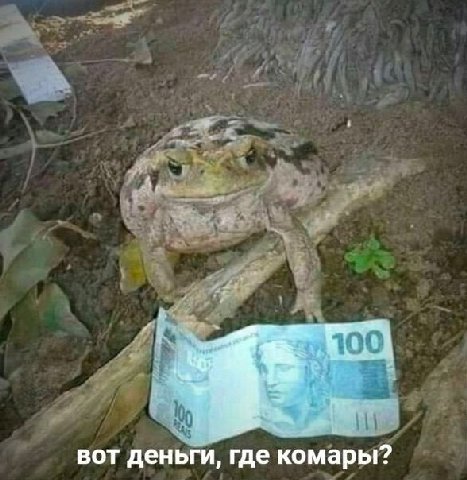 вот деньги, где комары?