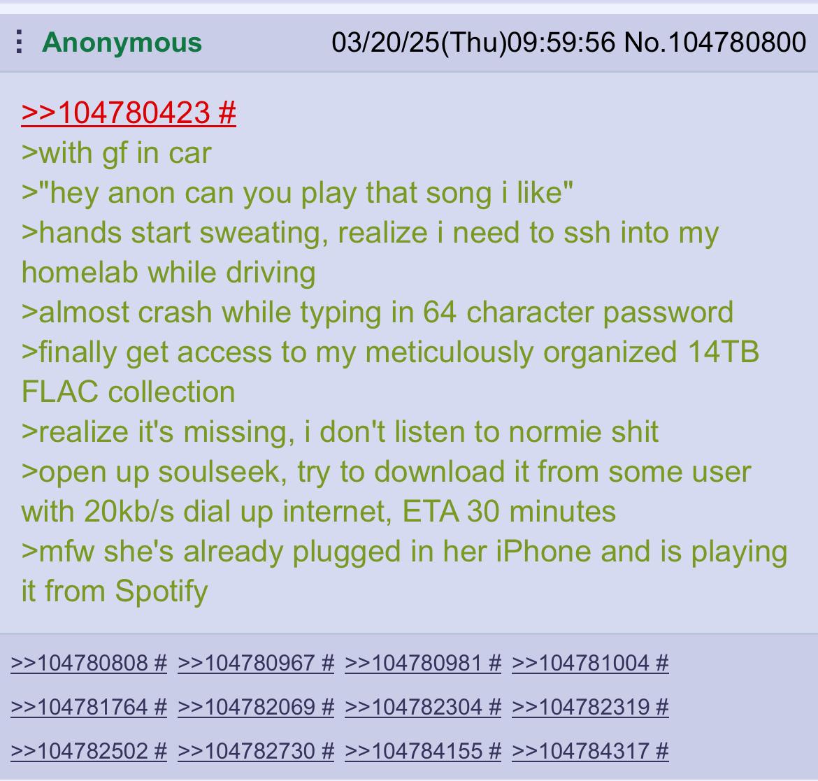 Anonymous 03/20/25(Thu)09:59:56 No.104780800 >>104780423 >with in car >"hey anon can you play that song like" >hands start sweating, realize i need to ssh into my homelab while driving >almost crash w