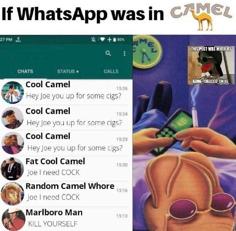 If WhatsApp wasin 4i 44 27 WAS CHATS Cool Camel Hey Joe you up for some cigs? Cool Camel Hey Joe you up for some cigs? Cool Camel Hey Joe you up for some cigs? Fat Cool Camel Joe need COCK Random Came