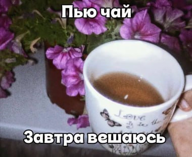 Пью чай Завтра вешаюсь