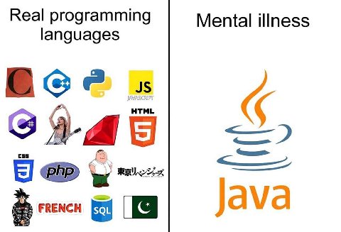 Real programming Mental illness languages Eee HTML Java