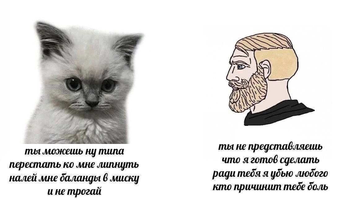 „Я ты можешь ну типа ты не представляешь перестать мне липнуть что я готов сделать налей мне баланды 6 миску ради тебя я убью любого ине трогай кто причинит тебе