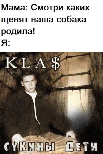Мама: Смотри каких щенят наша собака родила! Я: