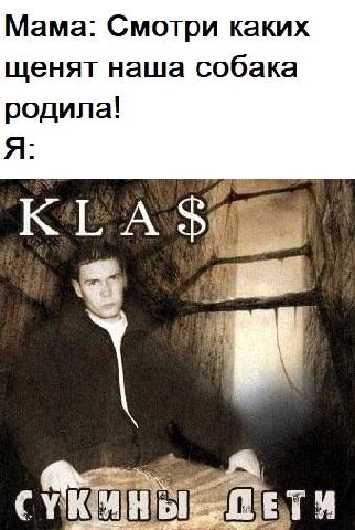 Мама: Смотри каких щенят наша собака родила! Я: