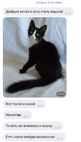 Добрый вечер я хочу стать кошкой Вот такой кошкой Навсегда То есть из человека в кошку Есть какое нибудьзаклинание