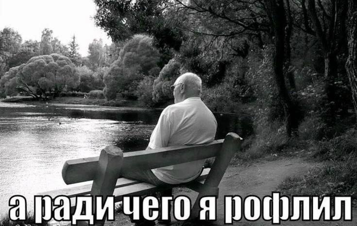 я последние месяцы годы