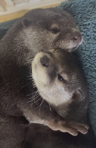 Саш спи, с утрами я договорился ❤️