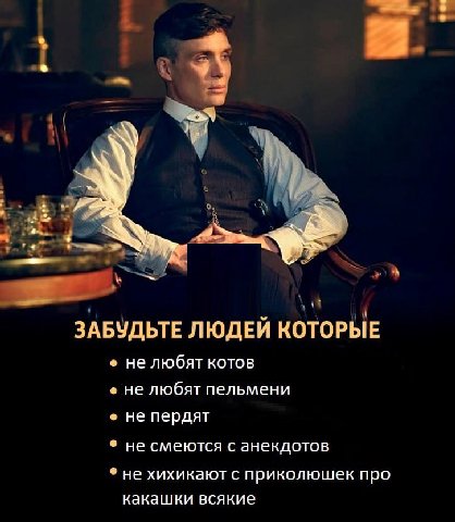 ЗАБУДЬТЕ ЛЮДЕЙ КОТОРЫЕ не любят котов не любят пельмени не пердят не смеются с анекдотов не хихикают с приколюшек про какашки всякие