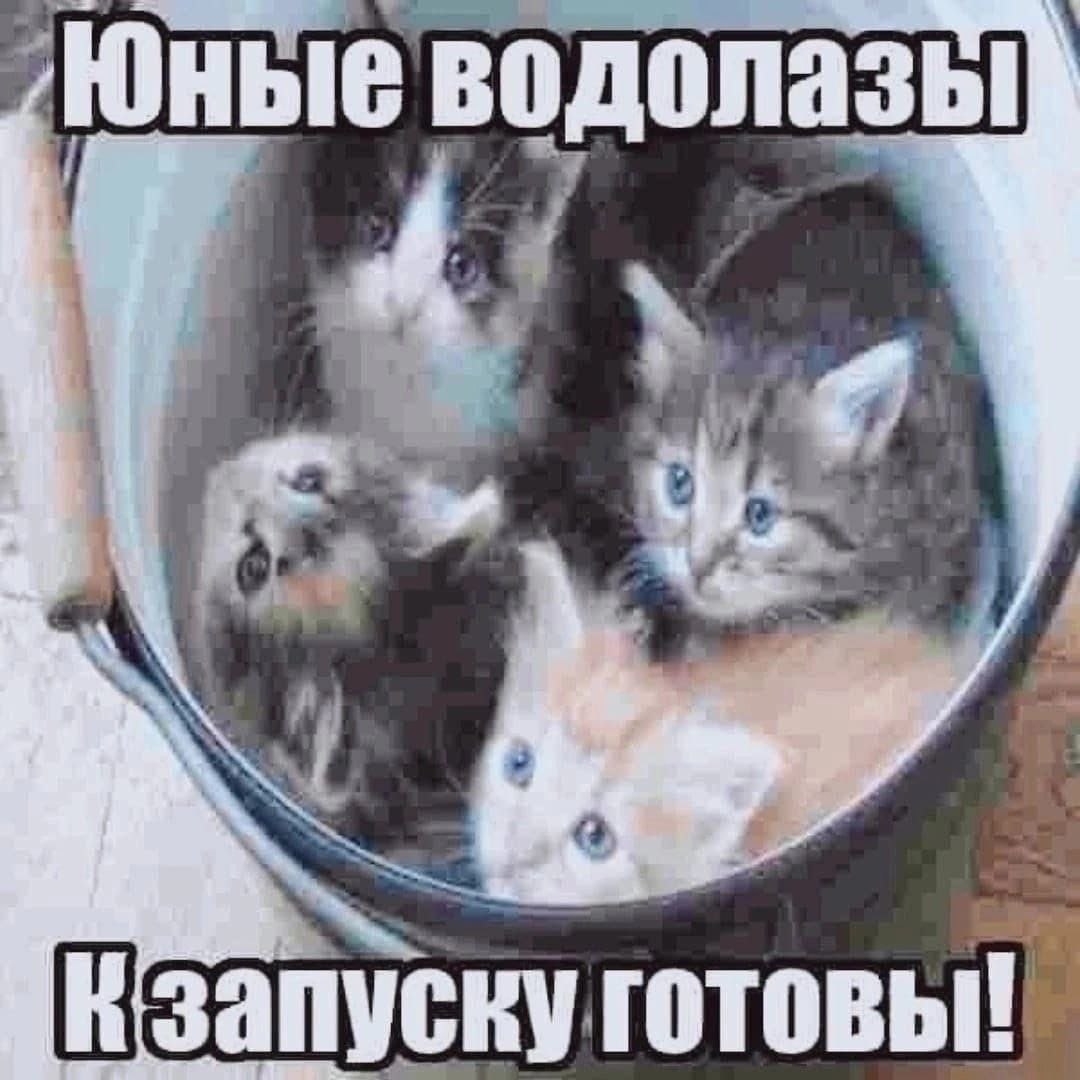 Юные водолазы! a запуску готовы!