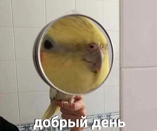 добрый день