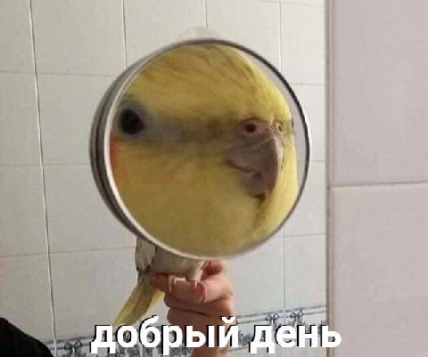 добрый день