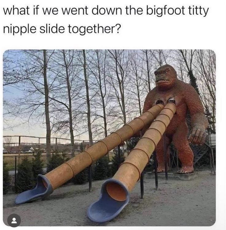 what if we went down the bigfoot titty nipple slide together? и
