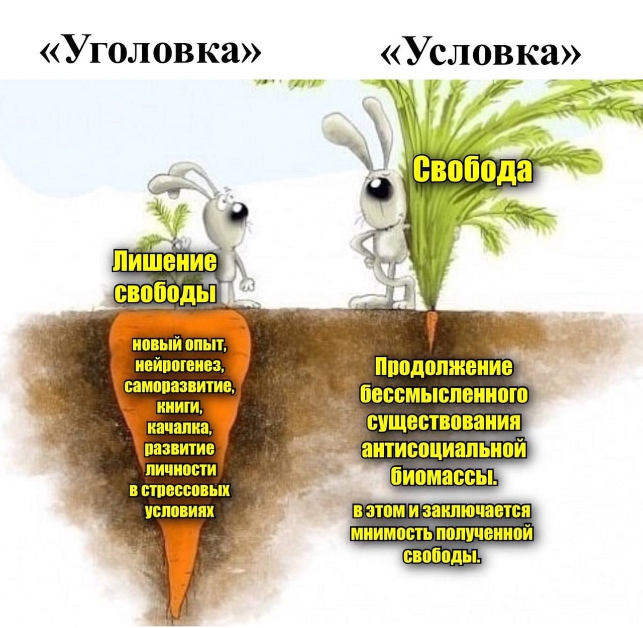 «Условка» Свобода Лишение свободы новый опыт, нейрогенез, Продолжение саморазвитие, бессмысленного качалка, КНИГИ, существования развитие ЛИЧНОСТИ стрессовых биомассы условиях заключается MHMMOCTb пол