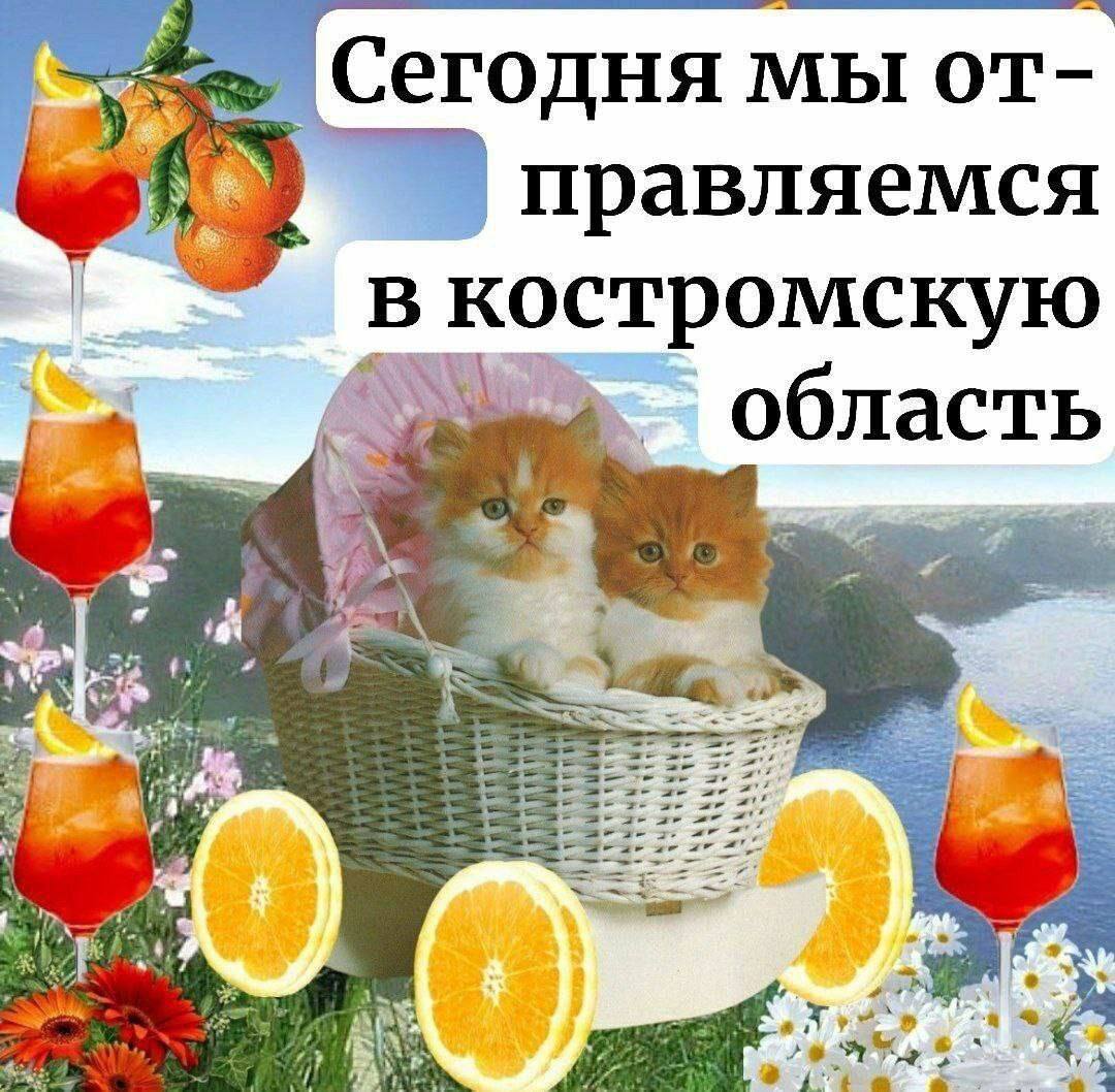Сегодня мы от- правляемся В костромскую область in