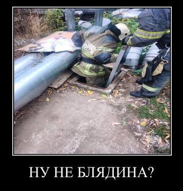 НЕ БЛЯДИНА?