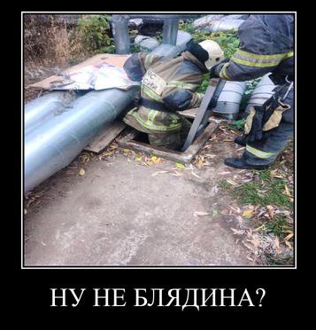 НЕ БЛЯДИНА?