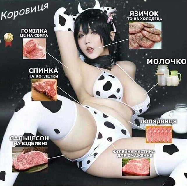 KoP НА ХОЛОДЕЦЬ ГОМТЛКА СВЯТА 4 НА КОТЛ a~ 9. у Пол САЛЬЦЕСОН А ВТДБИВН!