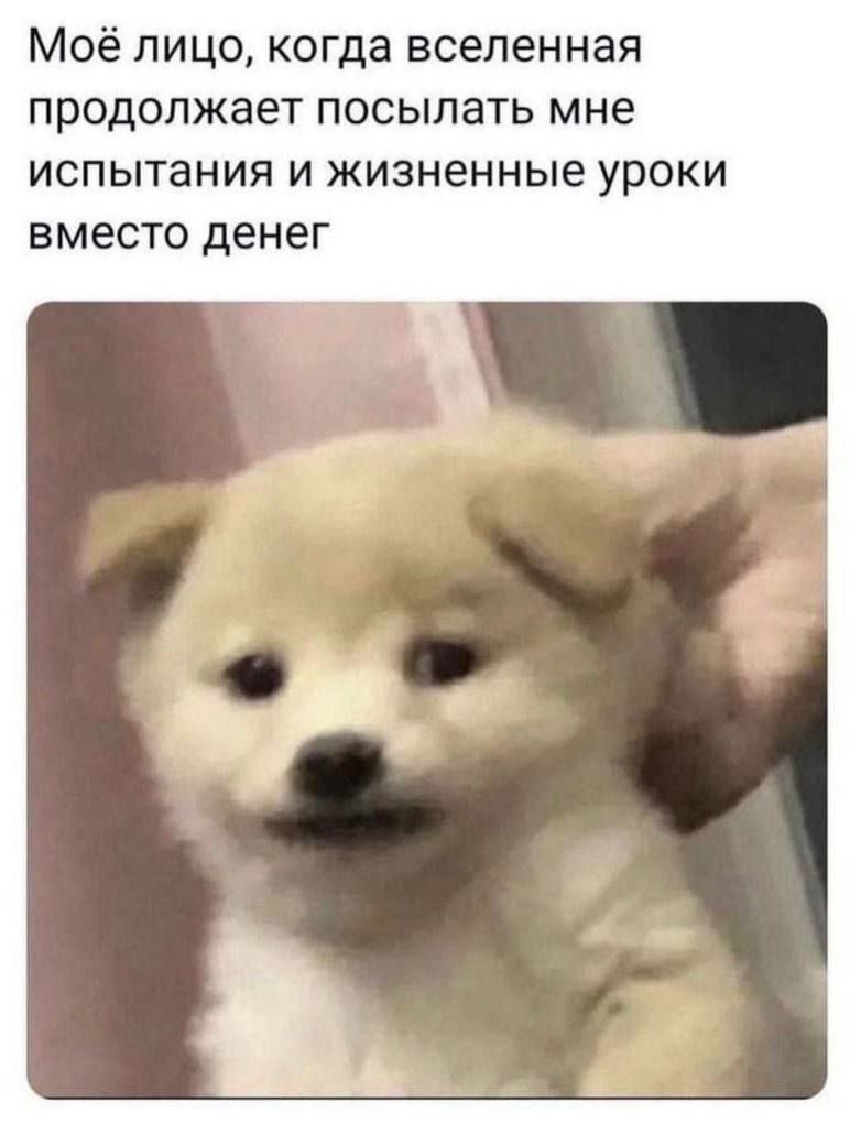 Мовё лицо, когда вселенная продолжает посылать мне испытания и жизненные уроки вместо денег
