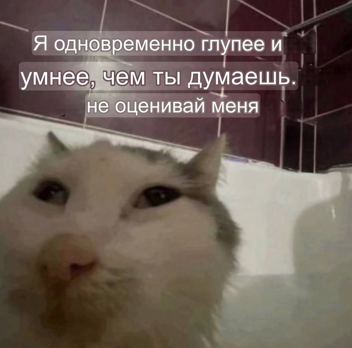 Я одновременно глупее и умнее, чем ты думаешь. не оценивай меня