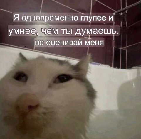 Я одновременно глупее и умнее, чем ты думаешь. не оценивай меня