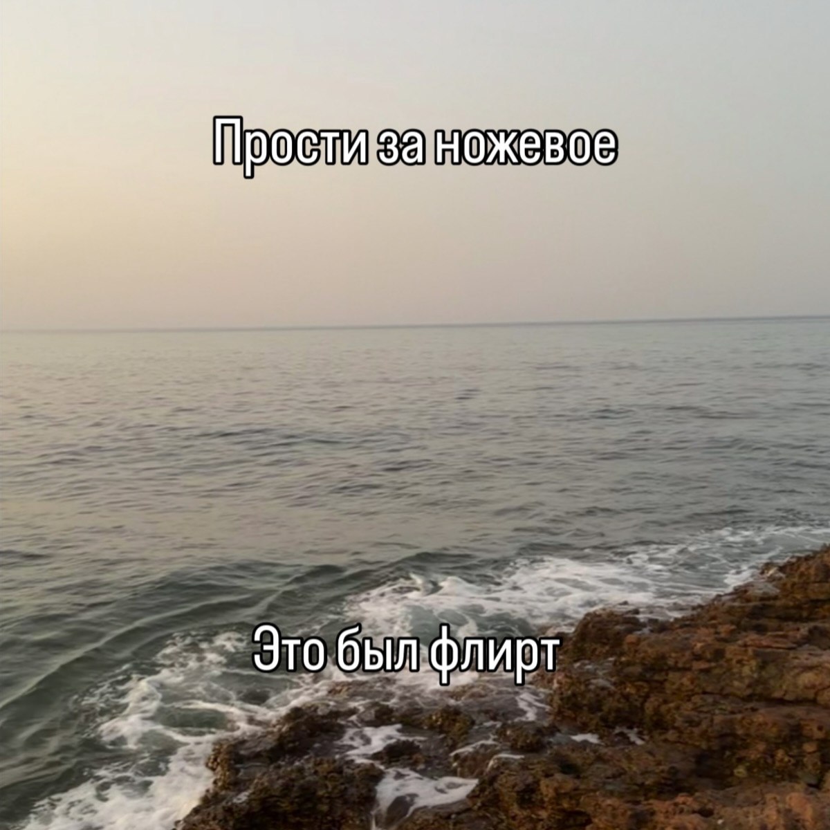 #вашинологи