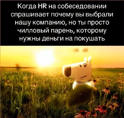 Когда на собеседовании спрашивает почему вы выбрали нашу компанию, но ты просто чилловый парень, которому нужны деньги на покушать