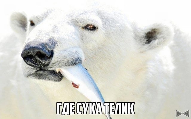 4: