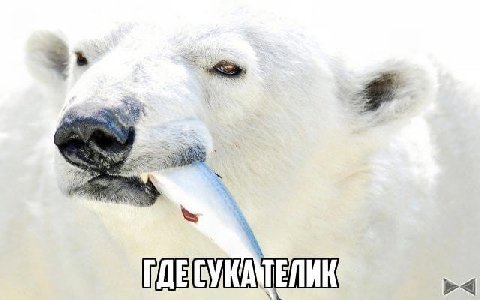 4: