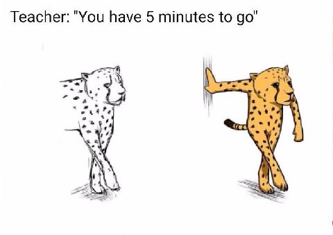 Teacher: "You have 5 minutes to до" 27