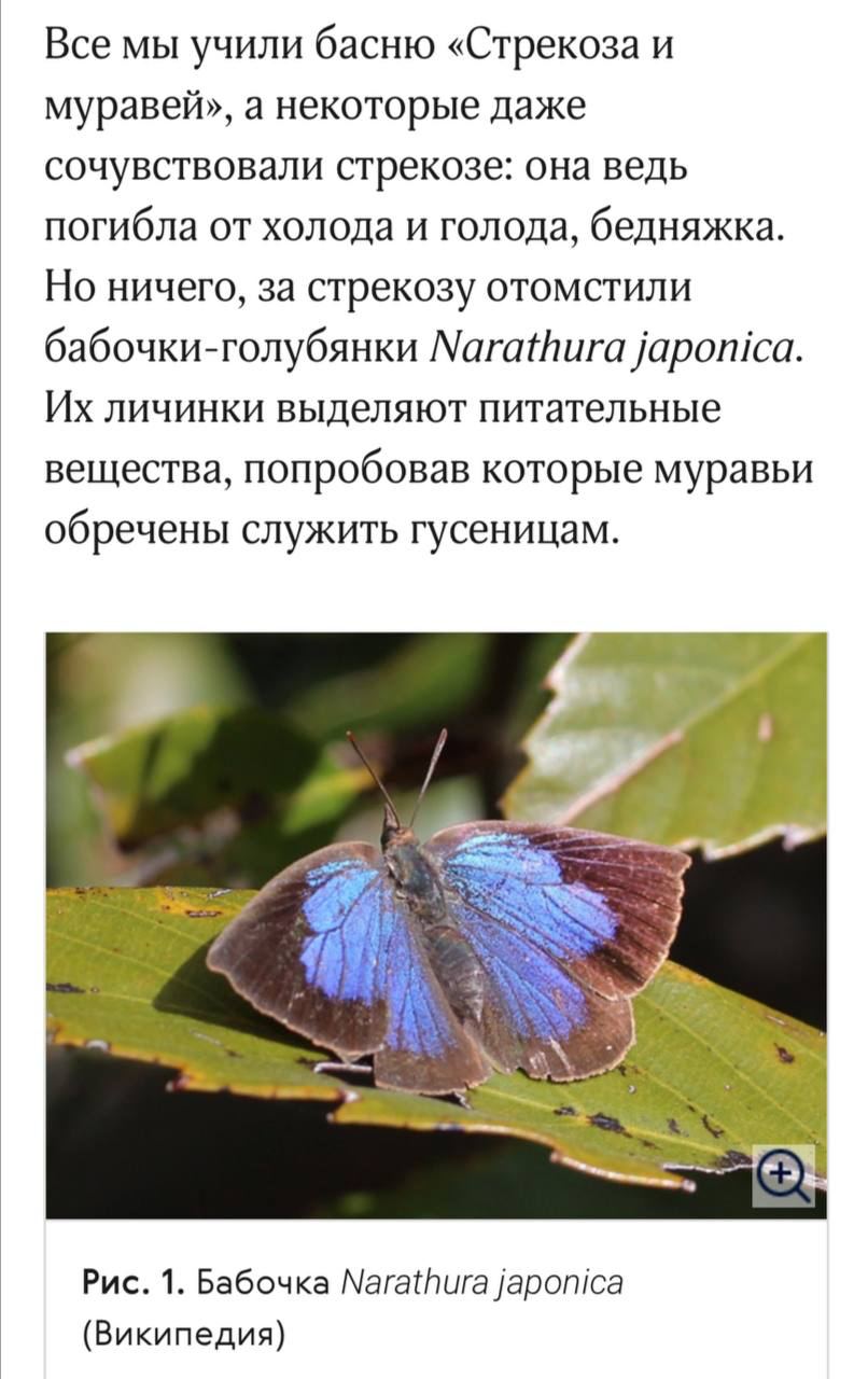 на личинке верчение